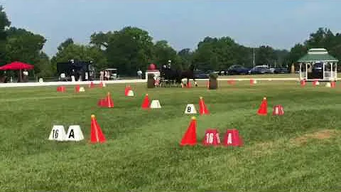 Jacob Arnold and Travis - Cones at Hermitage Classic