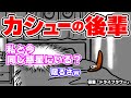 カシューの後輩【ドライフラワー】| カシューナッツと柿の種の恋物語