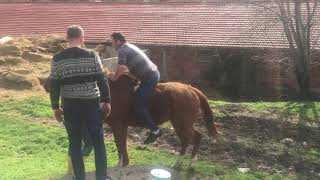 Güldürmeyin Çok Acıyo