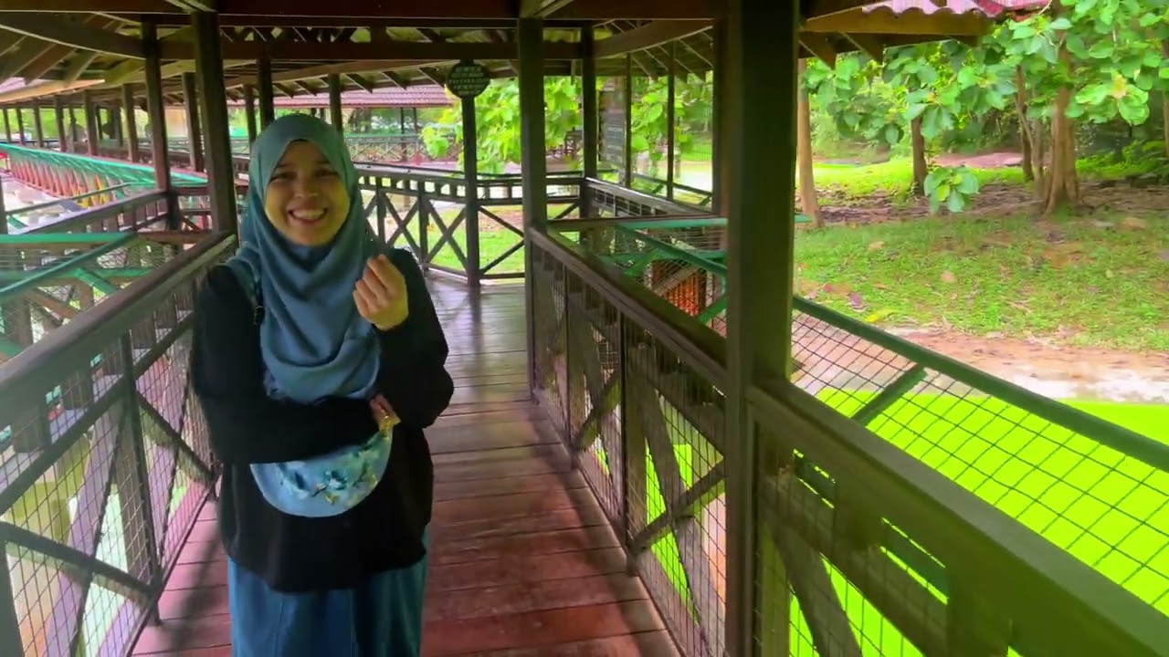 Crocdille adventureland