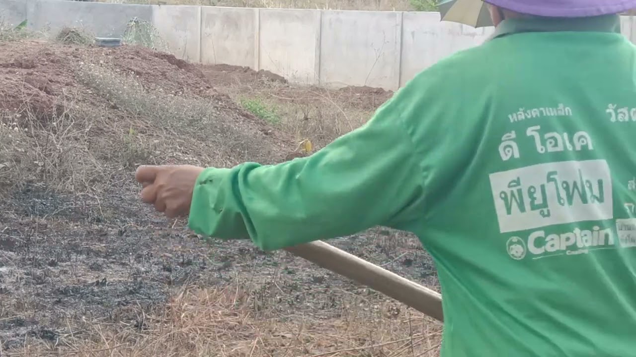 แดดก็ร้อนดินก็แข็ง!!ลุงเสือไม่เหนื่อยบ่ขุดไม่หยุดเลย