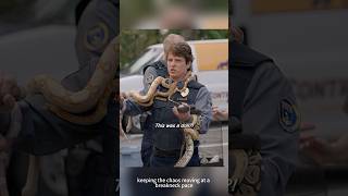 Animal Control S4E2: Chaotic Fire Drill Chaos & Frank Flying with Pigeons!