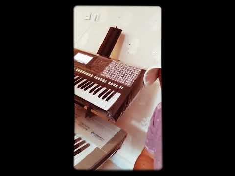 العراق سوريا يامربوعه وياقصيره للتواصل 905313691803