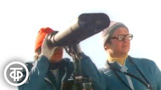 картинка: Выстрелы на лыжне. О зимнем двоеборье - биатлоне (1974)