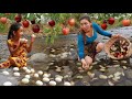Top survival skills- Pick a lot shell and duck eggs for food +4cooking food of survival in forest