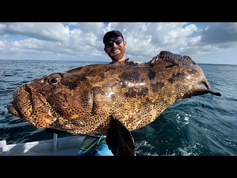 Video: Tiefseemonsterfisch. Fluss-Monsterfisch