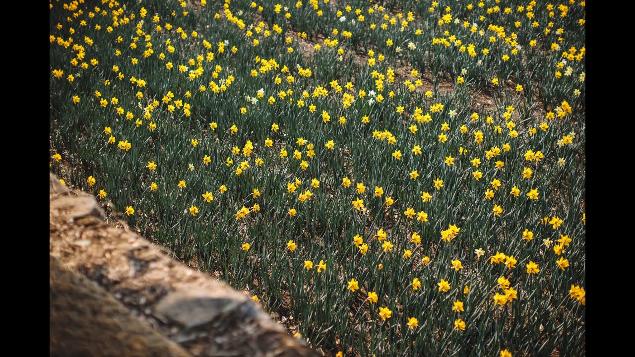 Who Are You ? - Part 3: Bạn phù hợp với công việc ngành nghề gì? Thiên hướng sự nghiệp của bạn?