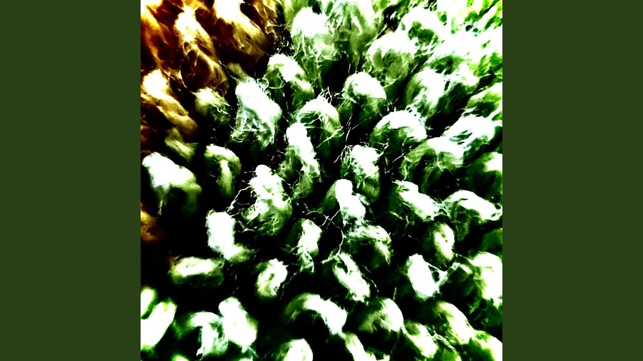 In Which George Roberts Quits the Electronics Service