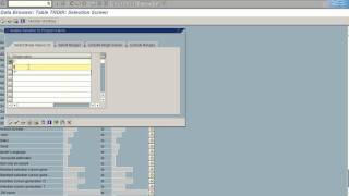 SAP Transactions for Securing Custom Programs