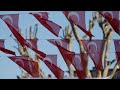 كابيكايا 2025 مهرجان الطبيعة والمغامرة ينطلق من شمال تركيا