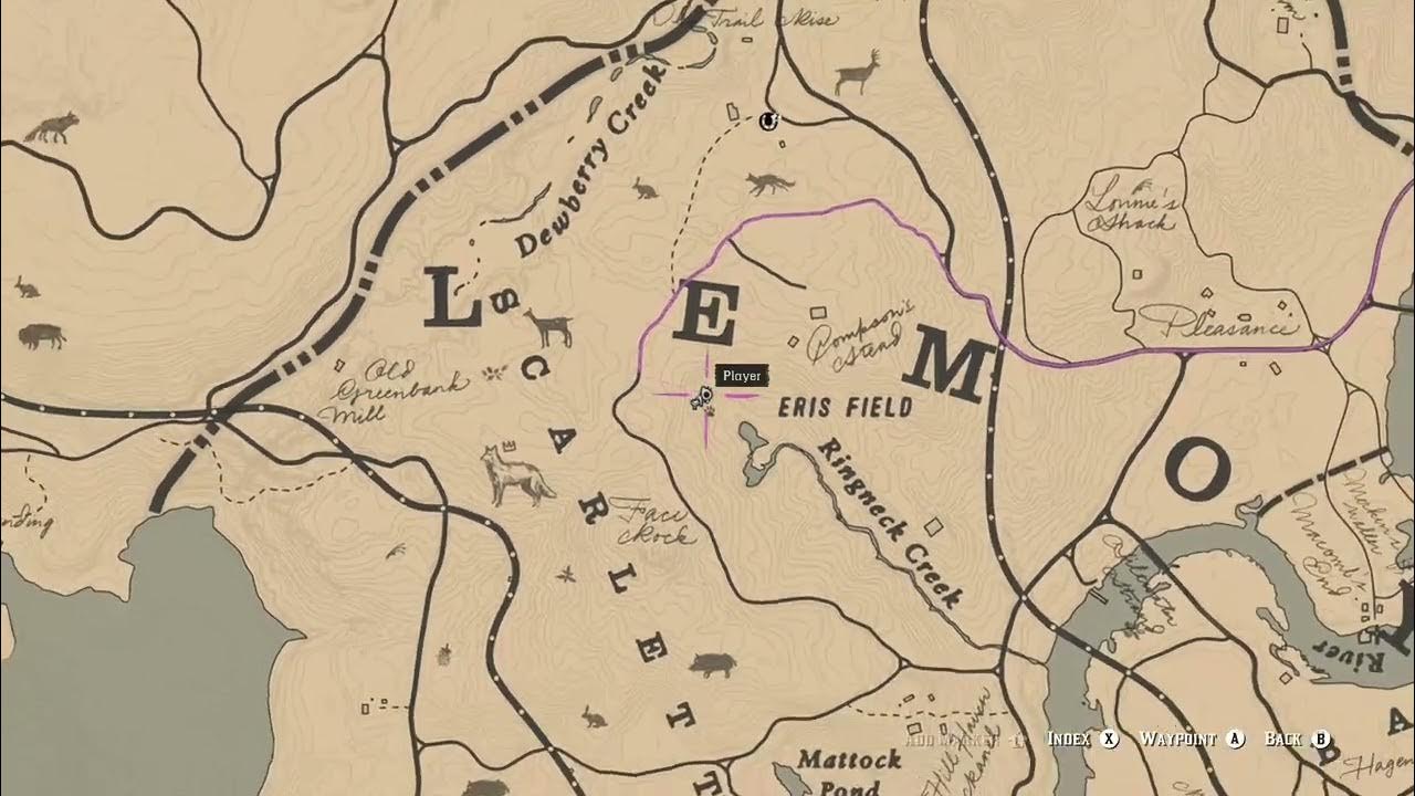 RDR2 Good spot for perfect boar pelts YouTube