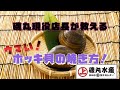 【磯丸水産公式】活貝浜焼きメニューの中でも磯丸を知る玄人に人気【ホッキ貝の殻焼き】の美味しい焼き方を磯丸現役店長が教えます！