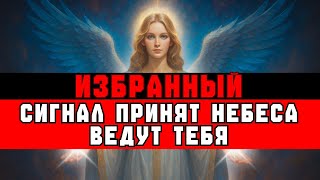 CHOSEN ONE, THIS IS HEAVEN'S DECISION - GET READY TO RUN! 💨