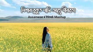 Nikhar Bukut Nami Ahe Nirobota   Assamese Song  
