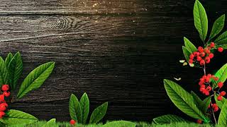 Video Ve Slayt Gösterisi İçin Hareketli Arka Planlar screenshot 5