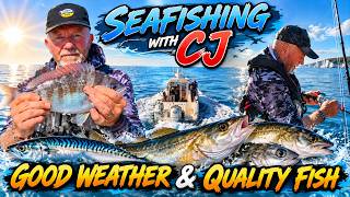 We caught a break: some brilliant fishing in the sunshine