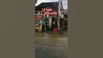 #Shorts Cần Thơ sáng nay lộ ngập như sông tứ bề là nước
