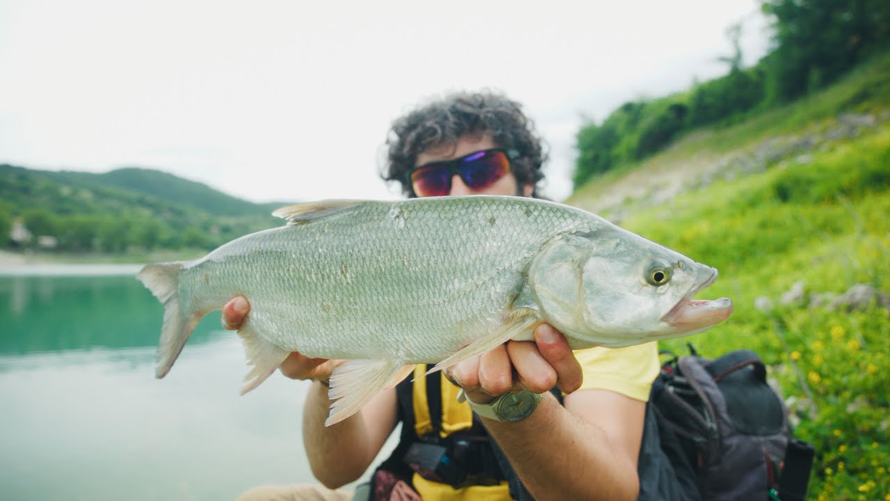 Aspi ESPLOSIVI in Lago a Stickbait - Fishin'Around Ep. 10