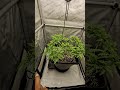 2x2 FastBuds Z42 May 4, 2026