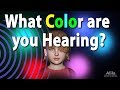 What is Synesthesia? Animation