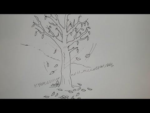 Video: Kako Nacrtati Pravilne Osmerokute