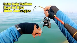 TERKEJUT..!! Sungguh Tarikanya Bikin Jantung Berdebar, Bukan Ikan Target Tapi Super Babon