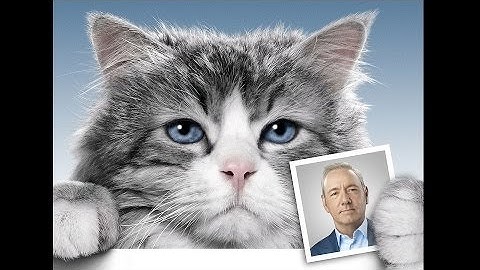 『メン・イン・キャット』映画オリジナル予告編