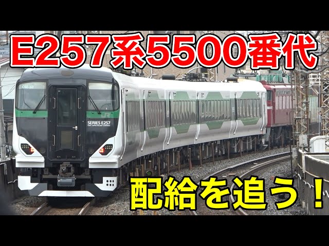 e257系5500番代 E257系特急形直流電車｜5500番代