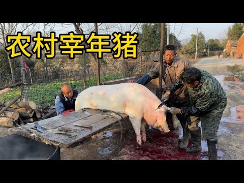 记录湖北农村宰年猪全过程，正宗农村土猪肉看着就香，浓浓的年味 - YouTube