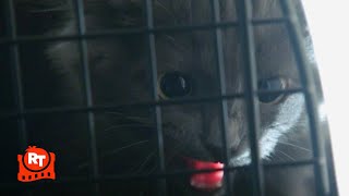 The Magicians - Adorable Kitten EXPLODES Into Bloody Mist (S3E2) | Movieclips