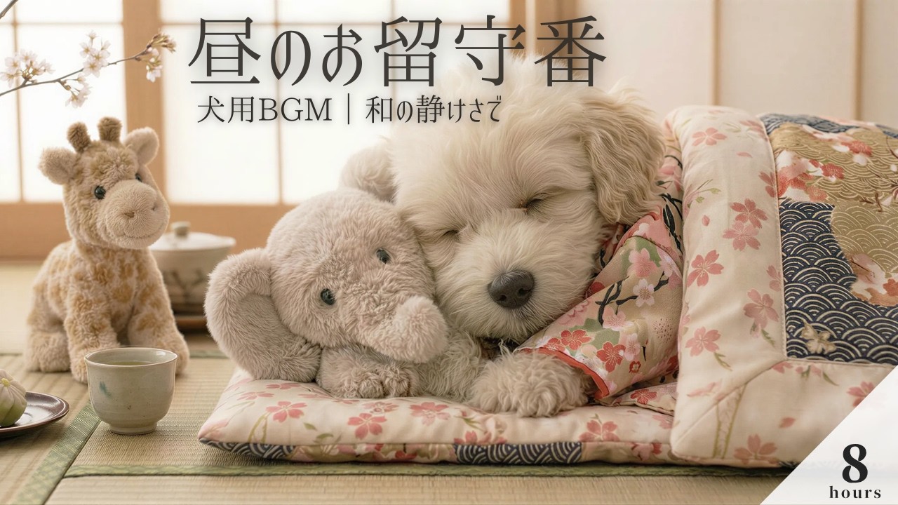 犬のためのリラックス音楽｜和の静けさで落ち着く犬用BGM｜昼の留守番に｜8ｈ｜Dog Music for Relaxed Daytime Home Alone｜Japanese Zen Calm