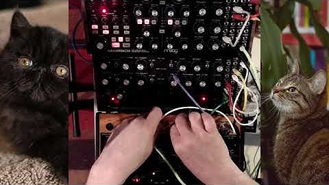 MDS 17: Subharmonicon, DFAM and Crave/Mother32 - Advanced Patch Ideas