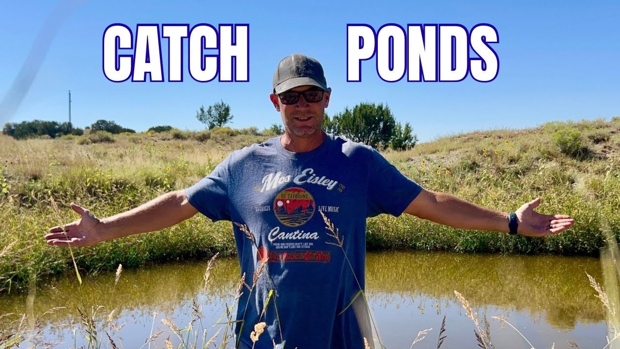 💧Desert Pond Project | Slow and Soak