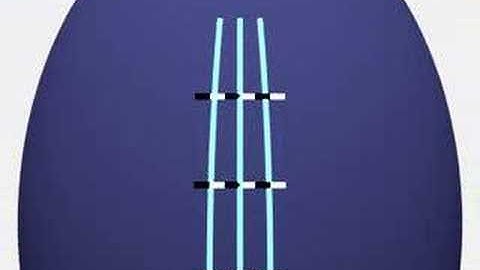 Geodesics and Positive Curvature