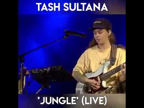 Jungle – Tash Sultana – Minutos com Duda