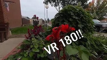 QooCam 3D VR180 Macro Test.