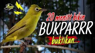 Ciak Joss Kecial Kuning GEBOKAN Ampuh Bikin Kecial Malas Bunyi Jadi BUKPAR✅