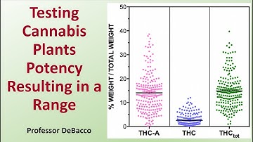 Testing Cannabis Plants Potency Resulting in a Range