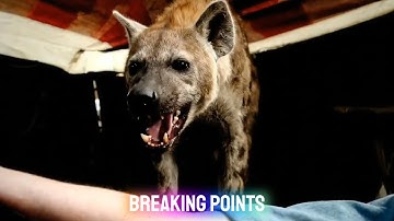 The calculus of the asymmetrical threat