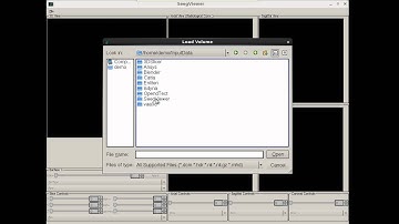 EnginFrame Views and DCV for Biomedical Applications