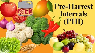 Pre Harvest Intervals PHI in Agriculture, Importance and Guidelines (safe pesticides use)
