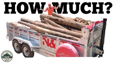 How Do You Cut So FAST? $10 Chainsaw Upgrade!!