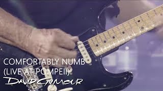 David Gilmour - Comfortably Numb (Live At Pompeii) chords