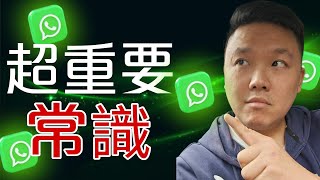 「whatsapp 教學」：有一個好重要設定一定要去開，必須要睇 EP 2！