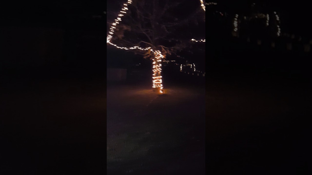 2016 A Small Town Christmas In Banner Elk Nc Youtube