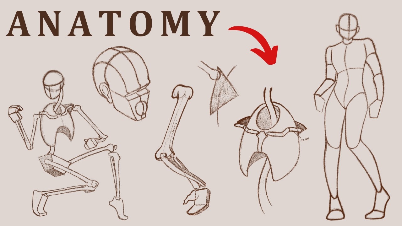 How I Practice Drawing BASIC Anatomy - YouTube