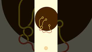 Hex: Anxiety Relief Relax Game #5 screenshot 4