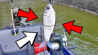 FIRST Glide Bait FISH Crushed the SWIMBAIT (Crazy Custom Lure)
