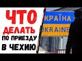 Беженство | Что делать по приезду в Чехию