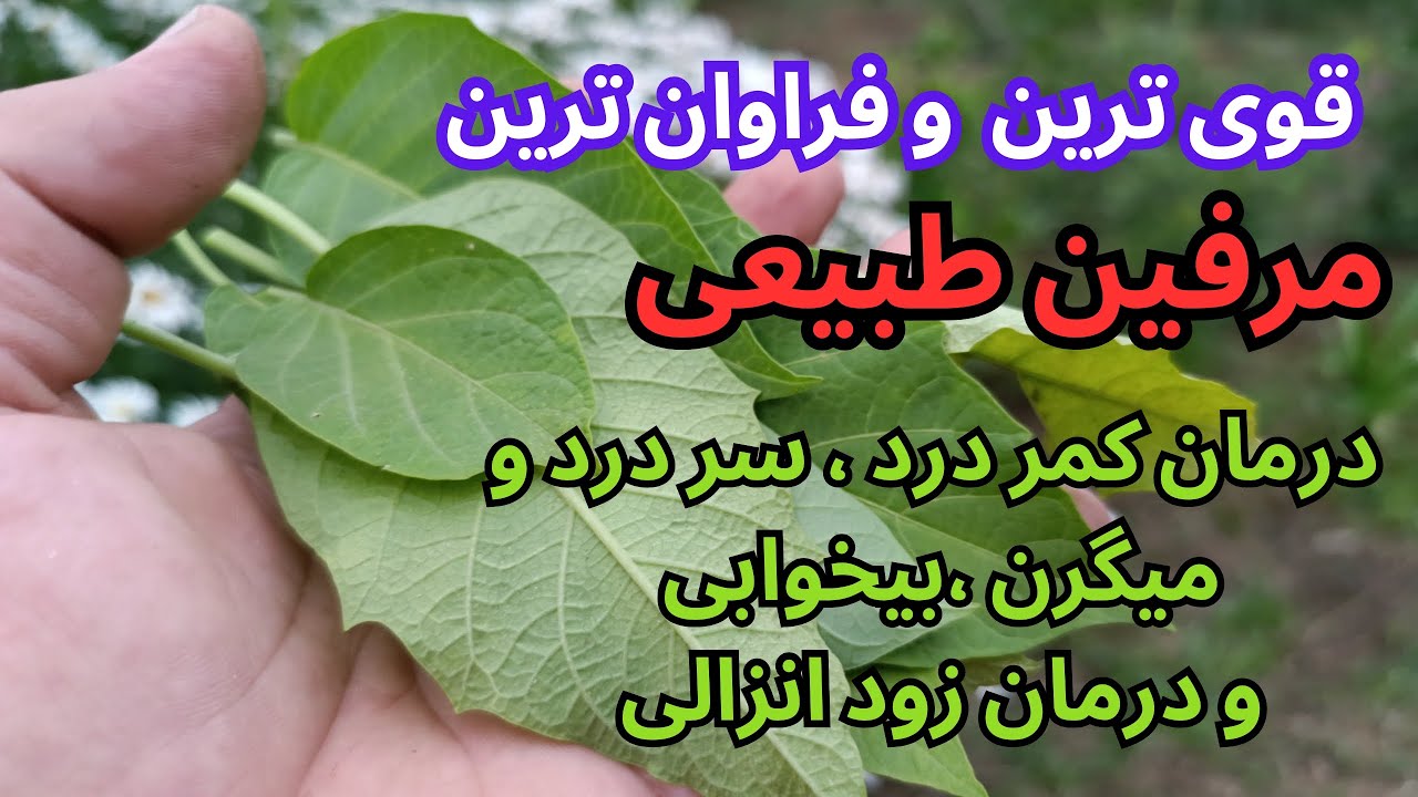 داروی تسکین درد خماری متادون